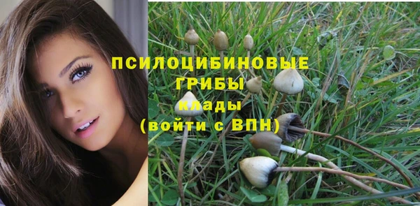 2c-b Надым