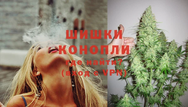 apvp Михайлов