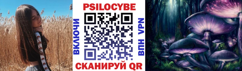 закладка Игра Псилоцибиновые грибы Psilocybe